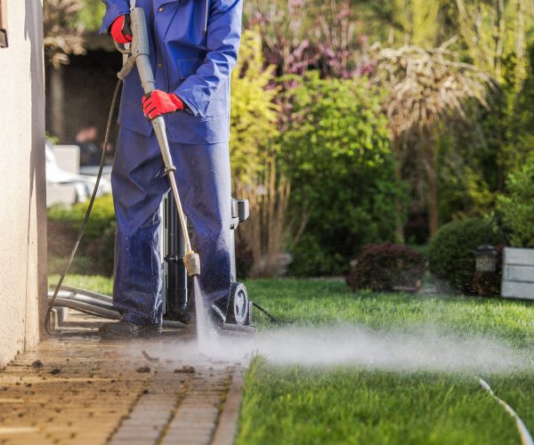 House Surroundings Maintenance